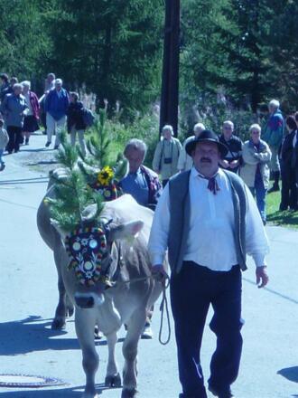 Beim Almabtrieb
