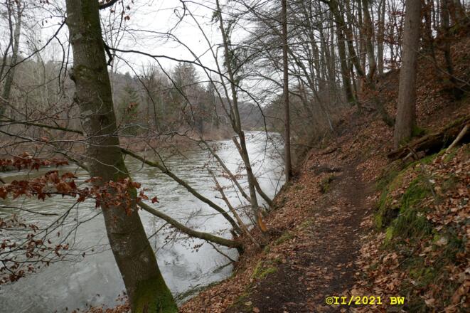 Amperschlucht bei Grafrath Südseite