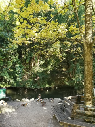 Der Seitenzugang zum Achtersee mit Sitzgelegenheiten