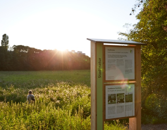 Ausgangspunkt des Stadtnaturpfades