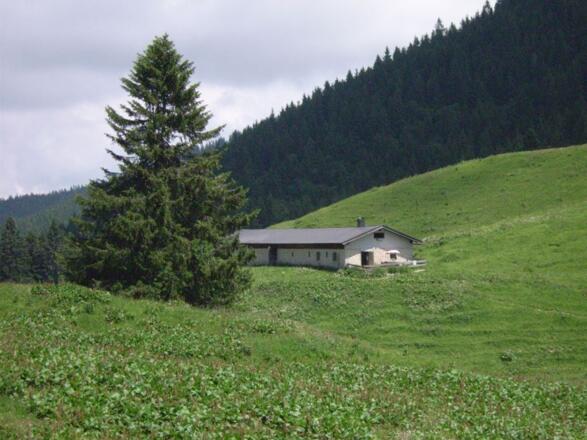 Ein Blick auf die Seekar-Almen
