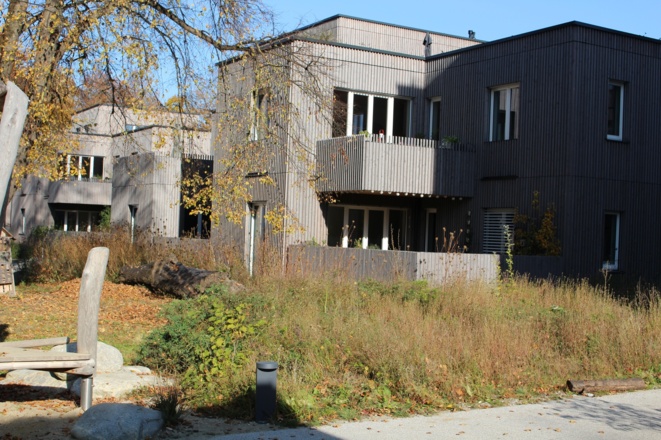 Holzbau in der Ökologische Mustersiedlung