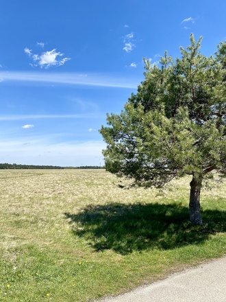 Pamzerwiese und Hartelholz