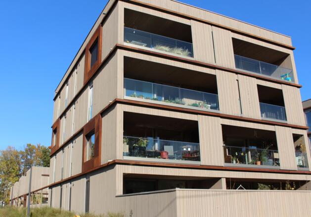 Holzbau in der Ökologische Mustersiedlung
