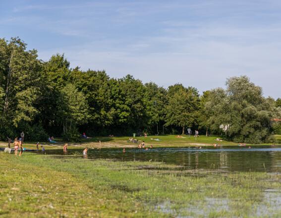 Liegewiese am Mammendorfer See