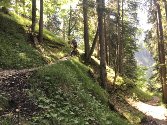 Am Singletrail in Richtung Eibsee