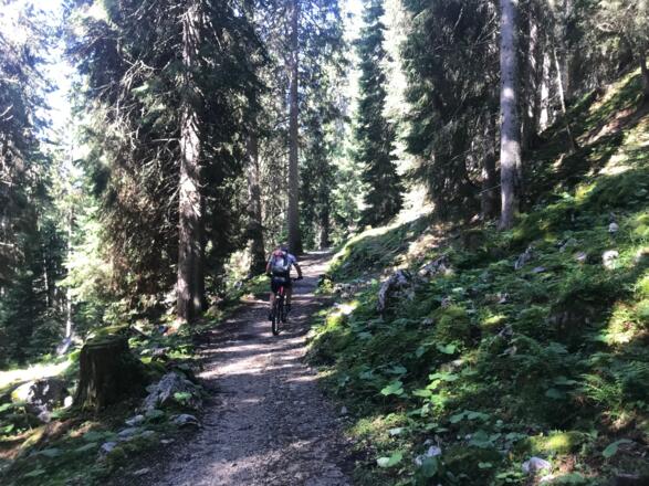 Auffahrt zur Enningalm