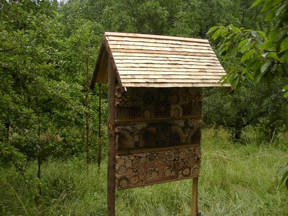 Naturobstgarten Schachtelberg