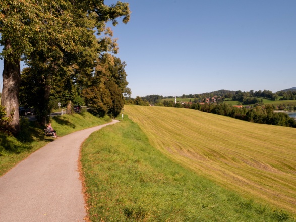 der Radlweg nach Gmund