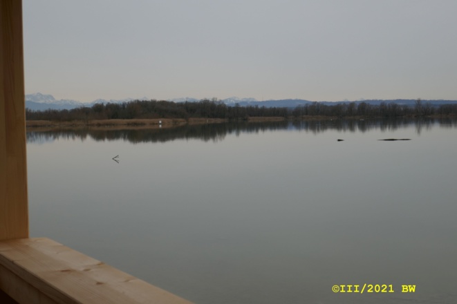 Aussicht zur Ammermündung