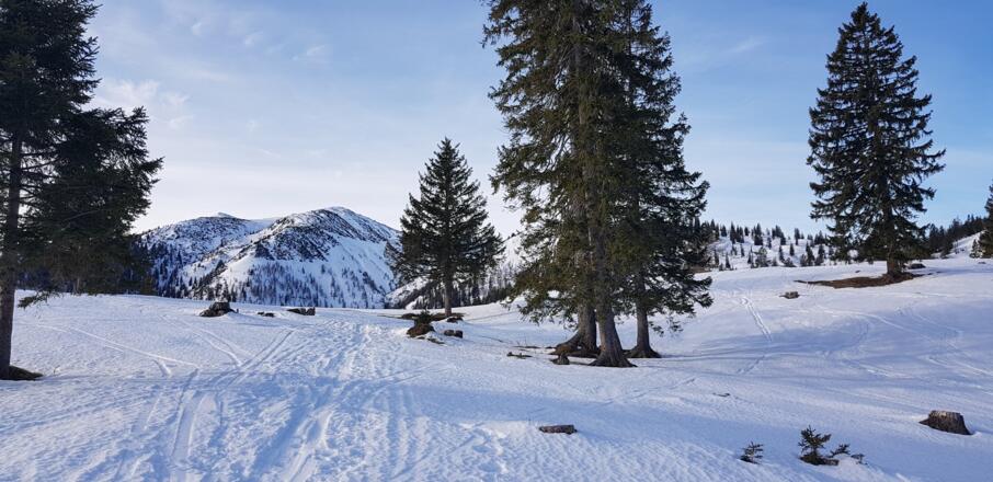 Schneeschuhwanderung Almengebiet Brandenberg