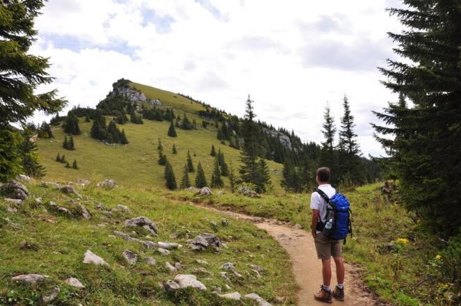 Der Lämpersberg - diese Tourenvariante ist die leichter hinüber zum Rotwandhaus - aber nicht minder schön und erlebnisreich