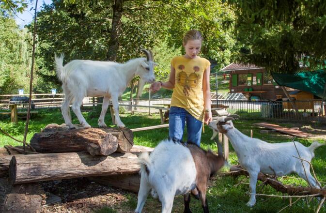Tiergehege im Kurpark Bad Abbach