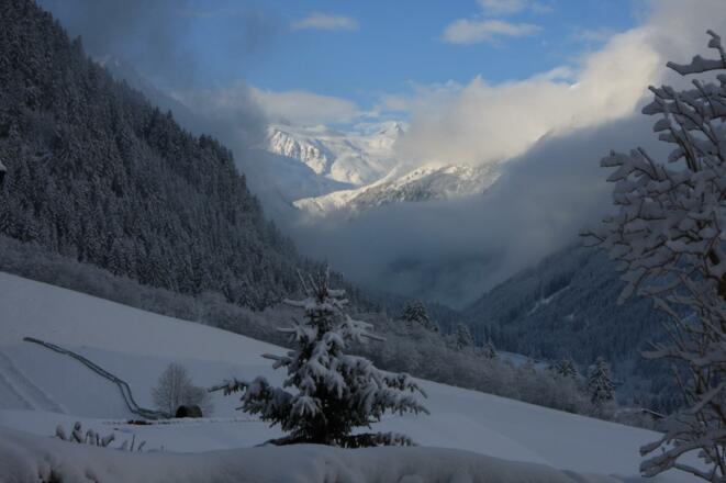 Wintermorgen Ausblick vom Wohnzimmer