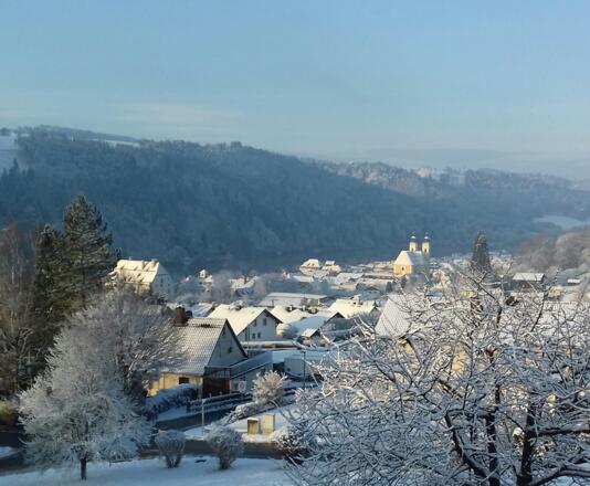 Winter im Donautal