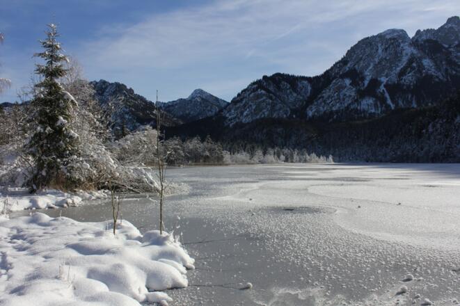 Am Nordufer des Schwansees