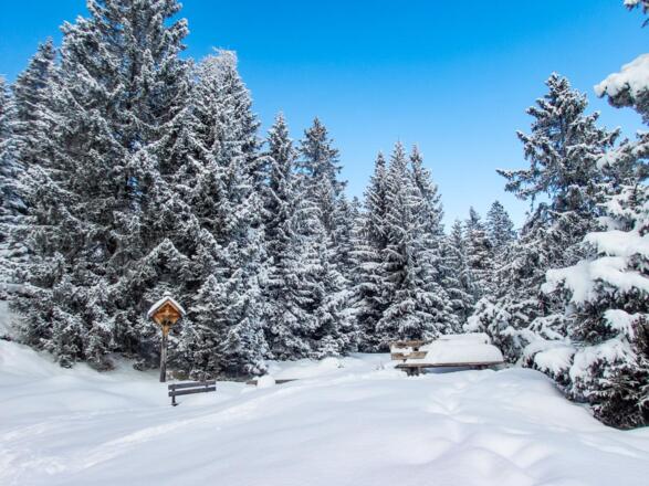 Hier am Königsstand ist unser Wendepunkt der Tour erreicht und wir gehen auf dem gleichen Weg wieder zurück.