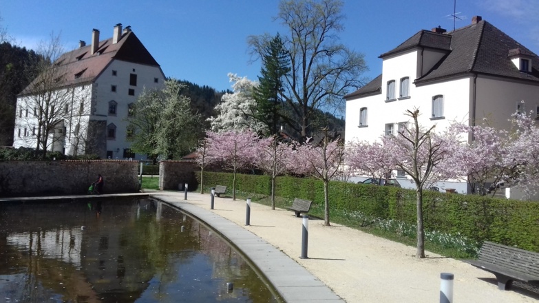 Schlossgarten.jpg