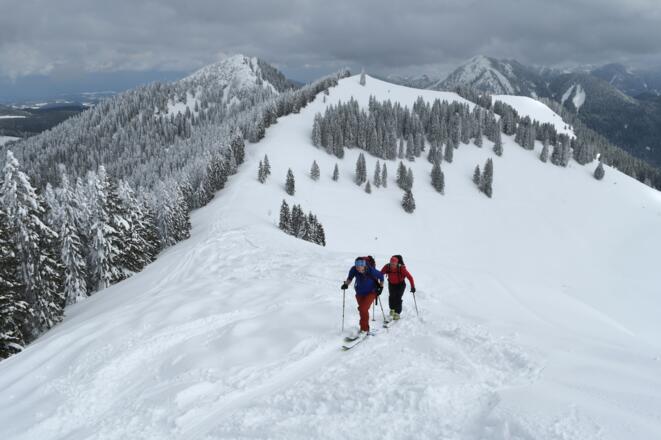 Am Nordostrücken des Seekarkreuz öffnet sich der Blick auf die Münchner Hausberge.