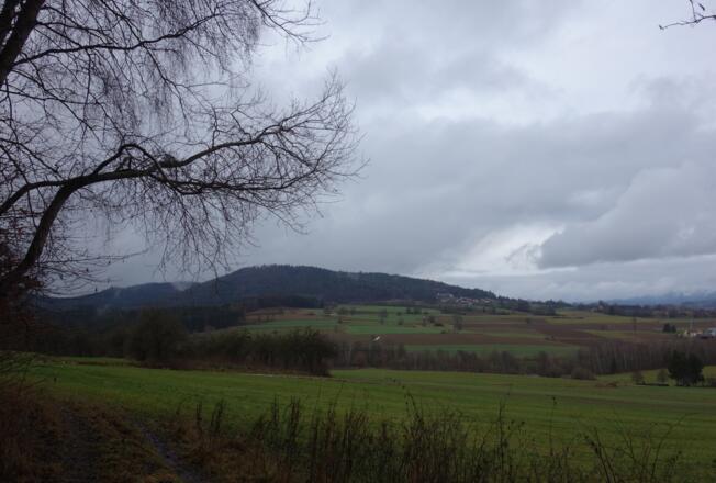 Aussicht auf den Schwarzwihrberg