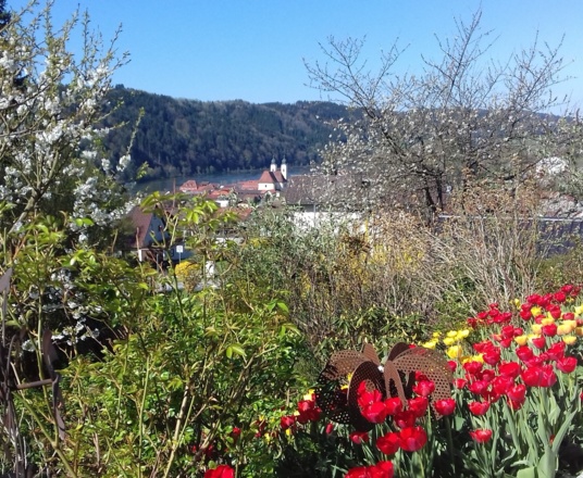 Frühling im Donautal