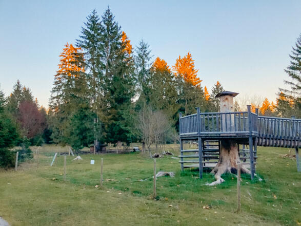 Spielplatz Königsdorfer Alm