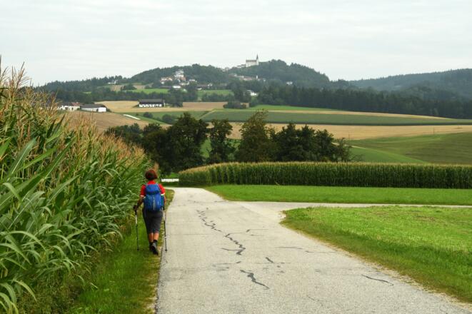 St. Thomas am Blasenstein bereits in Sichtweite