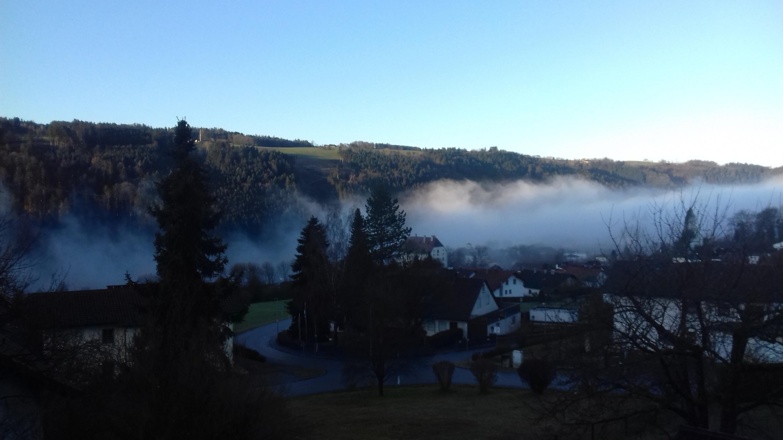 Nebel im Donautal