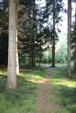 Unterwegs auf der Kaiser-Thermen-Schlaufe bei Bad Abbach