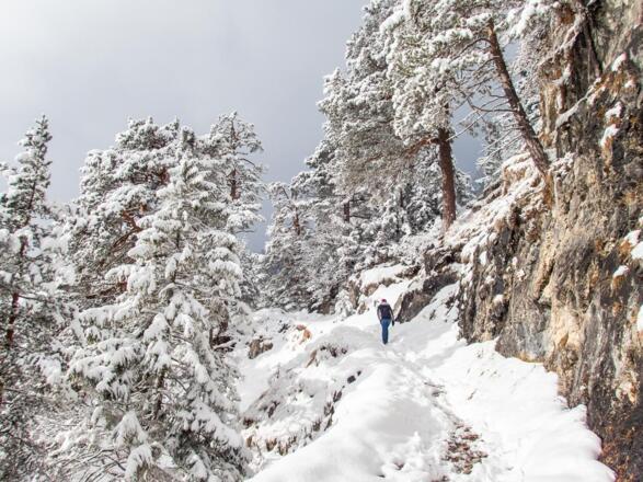 Es geht zwar stetig bergauf, die Steigung ist jedoch sehr moderat.