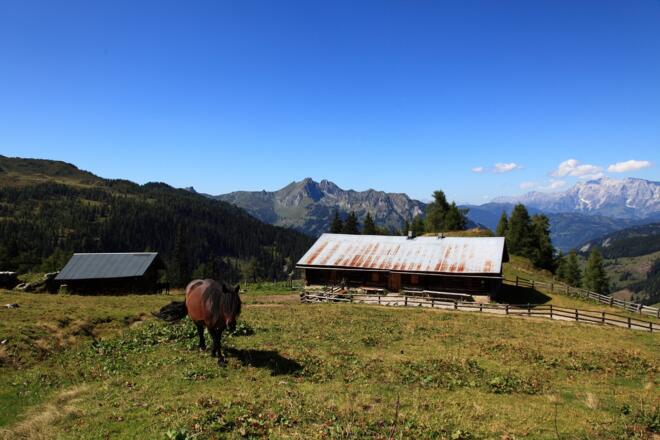Großwildalm, 1.778 m