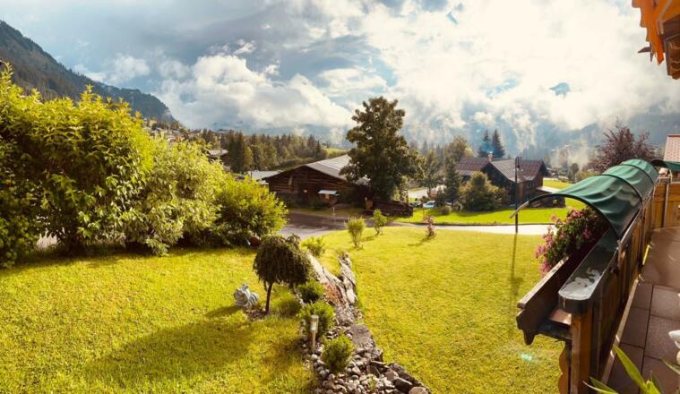 Gartenansicht im Sommer