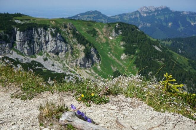 Blick zur Kampenwand