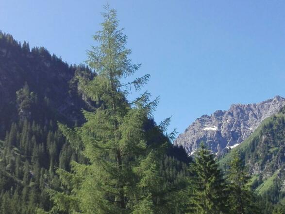 Mittelberg