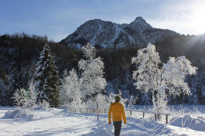 Winterlandschaft östlich des Schwansees