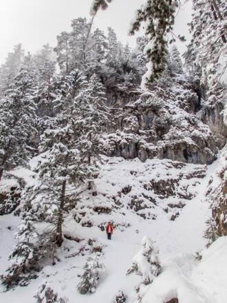 Der Weg geht weiter direkt unterhalb der Felswand weiter