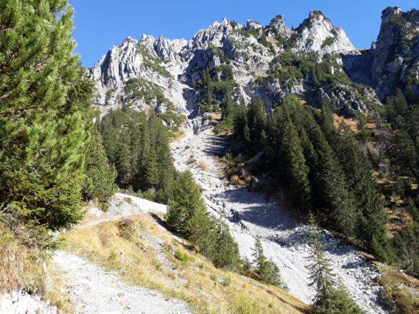 Wäldletobelweg in Klösterle