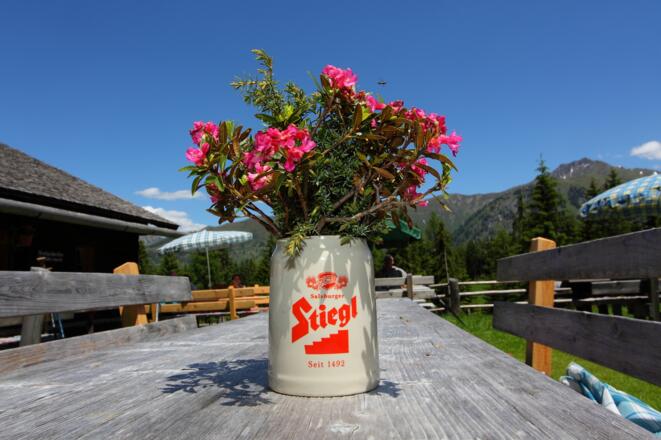 auf der Hirschgrubenalm