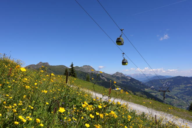 Panoramabahn