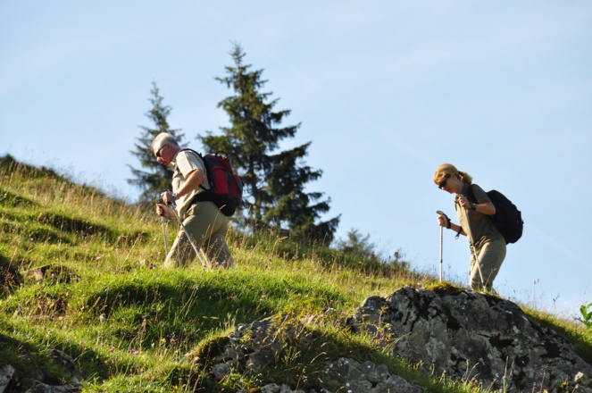 Einstieg zur Drei-Seen-Tour - über Almwiesen geht es gemütlich bergauf