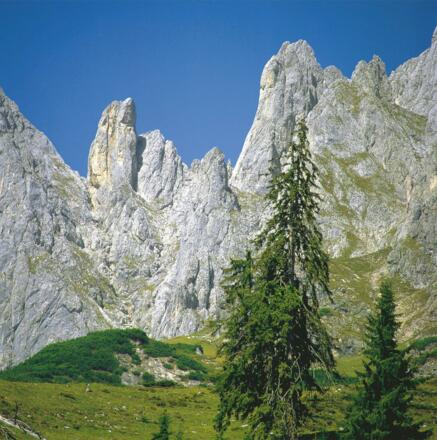 Arthurhaus Blick auf die Berge