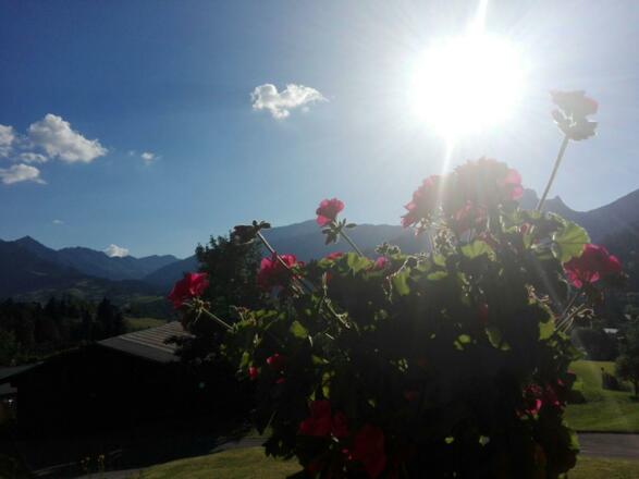 Blick von der Terrasse