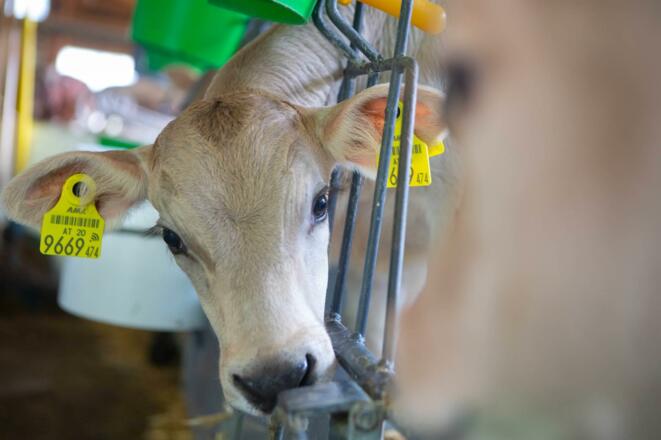 KlausHartinger_VN_hofschr018 - Kopie (2)