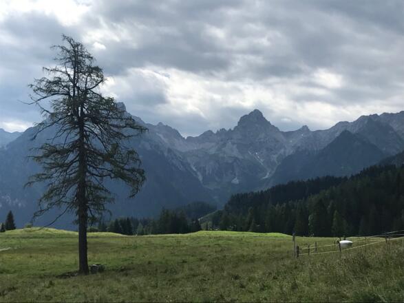 Blick auf die Zimba
