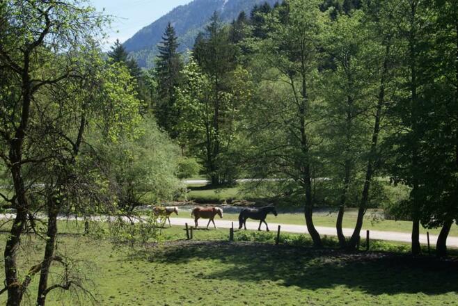 Apartment Bluntaumühle Ausblick