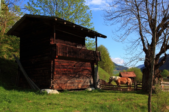 Alte Mühle