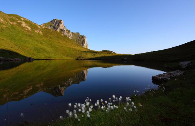 Schuhflickersee