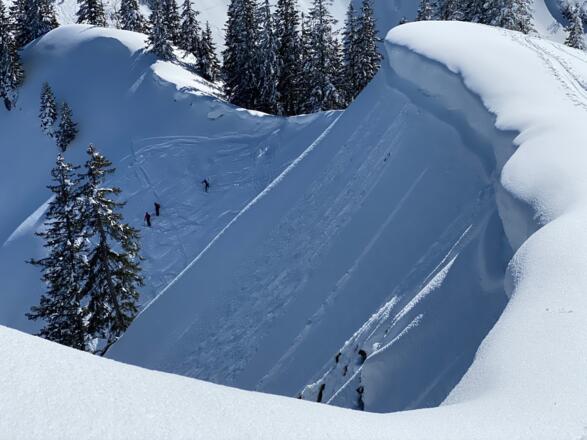 Blick vom Rauhenberg auf die steile Einfahrt in den Traumhang Richtung Obstgarten.
