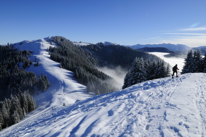 Ausblick vom mittleren Hörnle (1496 m) auf Hintere Hörnle