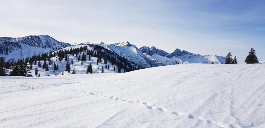 Schneeschuhwanderung Almengebiet Brandenberg